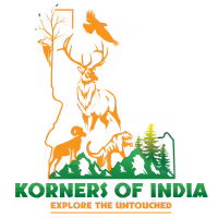 Wildlife safari in india