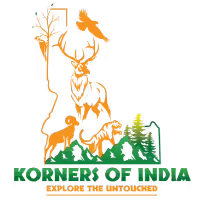 Wildlife safari in india