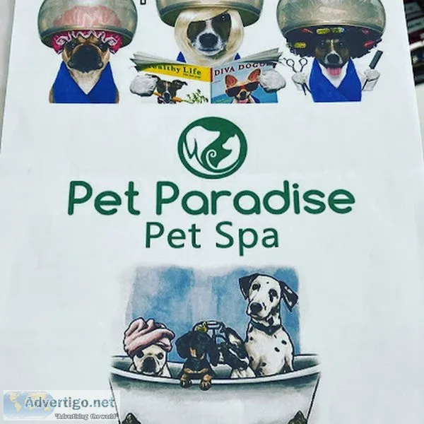 Pet paradise veterinary clinic & pet shop