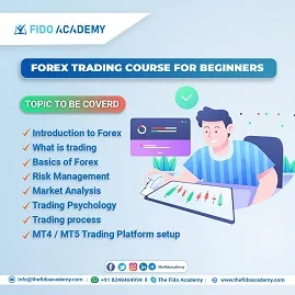 Courses in forex trading