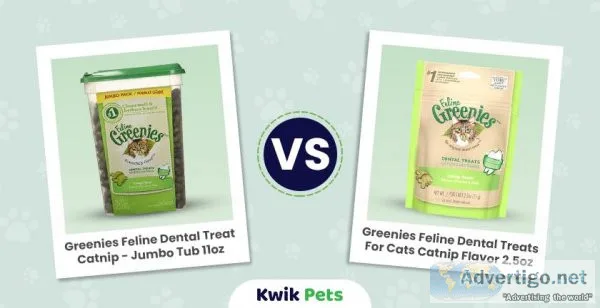 Is Catnip Safe For Cats
