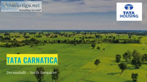 Tata carnatica