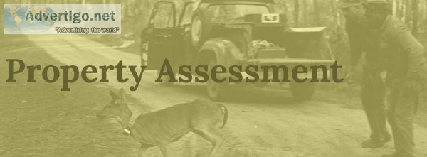 Visit Westervelt Wildlife Services Deer Property Management In A