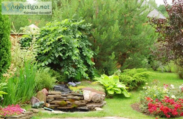 The Difference Between Reactive and Preventative Tree Care