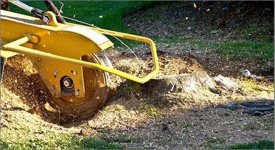 Best Tree Trimming And Removal Company