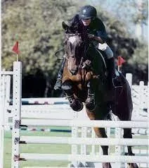 Hegewisch Stables