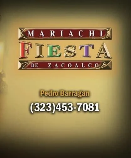 Mariachi fiesta