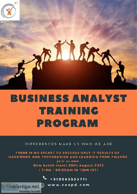 Business Analyst