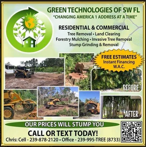Dangerous Tree Removal-Land Clearing-Tree Trimming