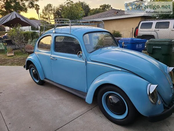 1964 vw beetle