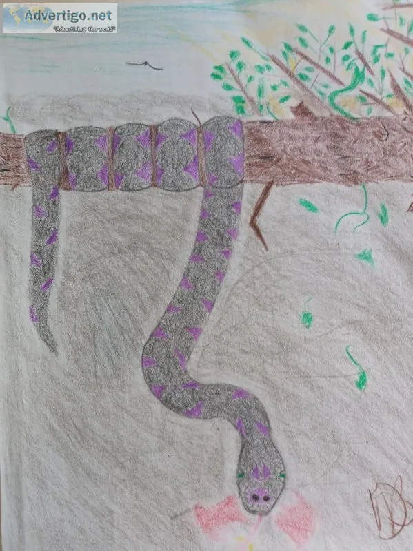 Hanging  Reptile