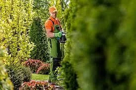 Garden Maintenance Services In Aberdeen  SG Tree Services