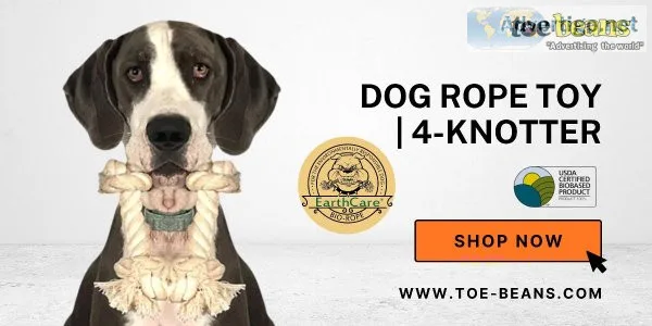 Buy Toe-Beans Deshedding Brush for a Comfortable Brushing Experi