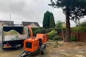 Professional Tree Cutting In Aberdeen  SG Tree Services