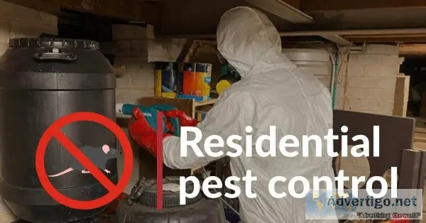 Pest control sydney
