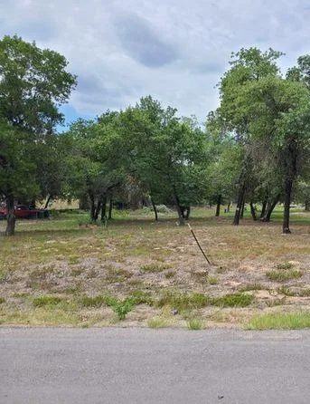 1 Acre Lot in Devine TX