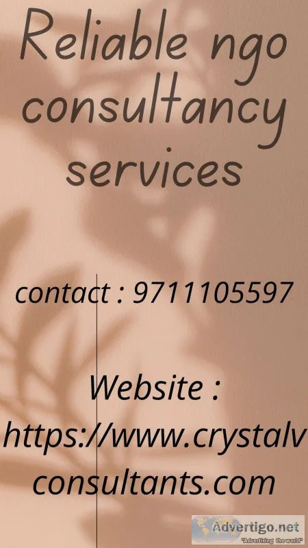Peerless ngo consultants in india