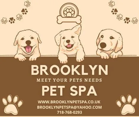 Are you searching for Dog Grooming Service in Brooklyn
