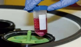Food and agricultural testing laboratory | gujarat laboratory