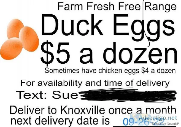 Farm Fresh Duck Eggs