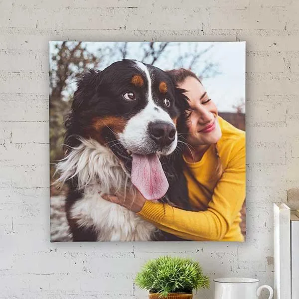 Custom and creative cute dog Poster in oklahoma