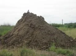 &quot&quot&quotBL ACK DIRT&quot&quot&quo t&quot