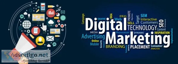 Digital marketing services in chandigarh