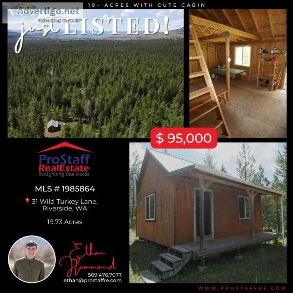 19 Acres with Cute Cabin