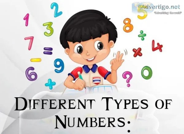 What Are the Different Types of Numbers Definition Properties an