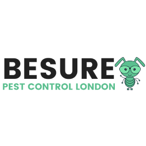 Expert Pest Control Services in Acton Green