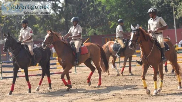 Horse Riding Training