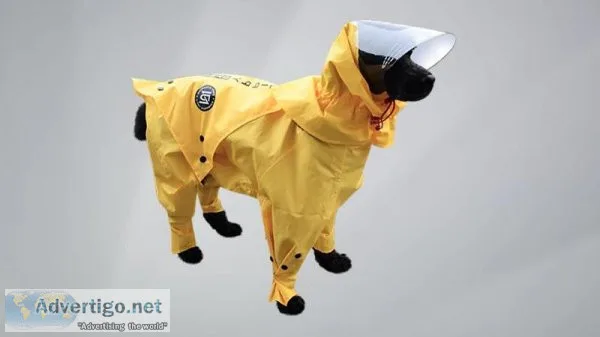 Looking Dog Clothes for Sale