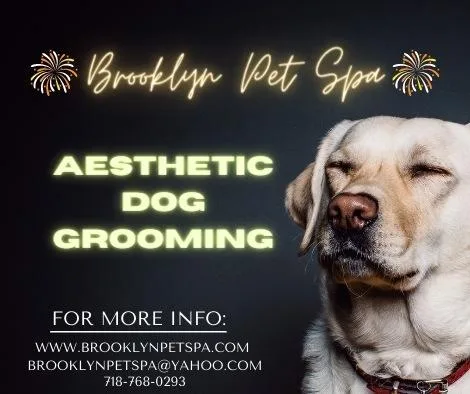 Do you know Brooklyn Pet Spa provides Aesthetic Dog Grooming