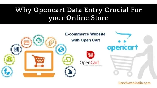 Why is an Opencart developer necessary for an online store