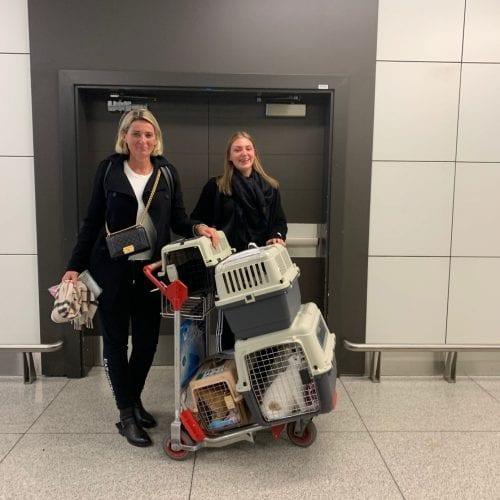JetSet Pet - The Pet Relocation Company  Pet Relocation UAE