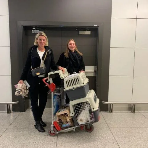 JetSet Pet - The Pet Relocation Company  Pet Relocation UAE