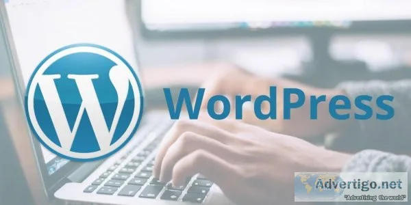 Creole Studios - WordPress Development Company based India
