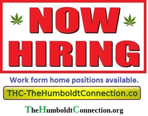 Help Wanted