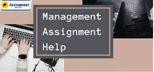 Management Assignment Help