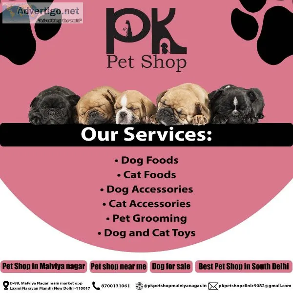Dog For Sale  Best Pet Shop in Delhi  Pet Shop near me
