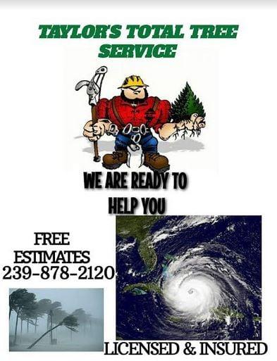 Strom cleanup full tree service grapple loads