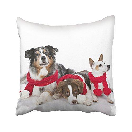 Decorative Pillows with Dogs Oklahoma