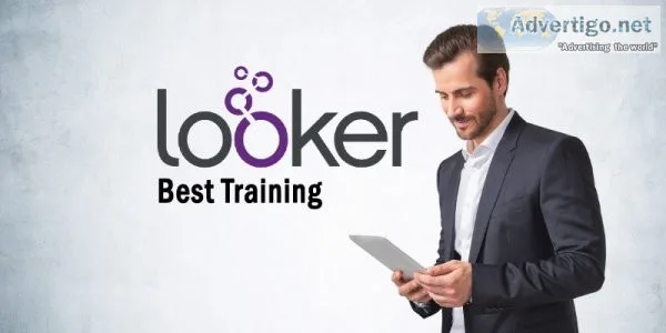 Online looker professional training