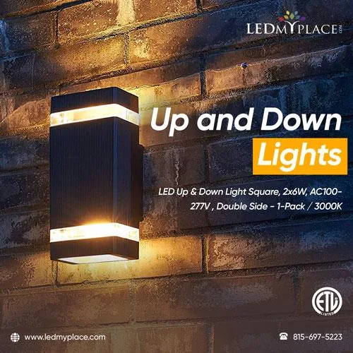 Check Out Trendy and Well-Known UP and Down Lights