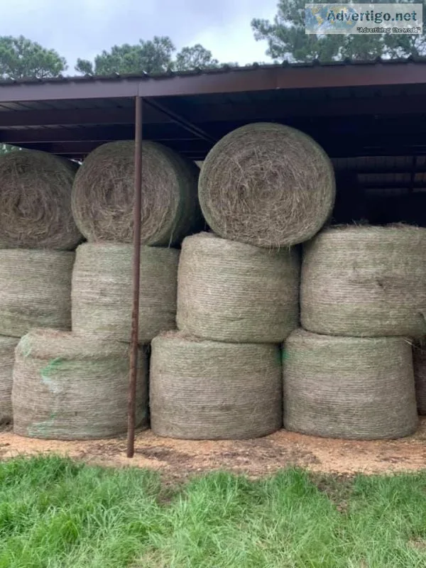 2022 - First Cut 4x5 Round Bales