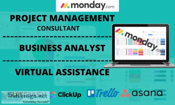Business analyst setup project management with monday trello cli