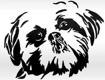 Miniature Shih Tzu