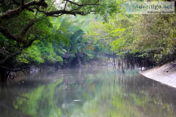 Best sundarbans tour packages