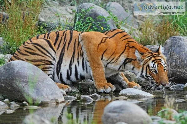 Best sundarbans tour packages