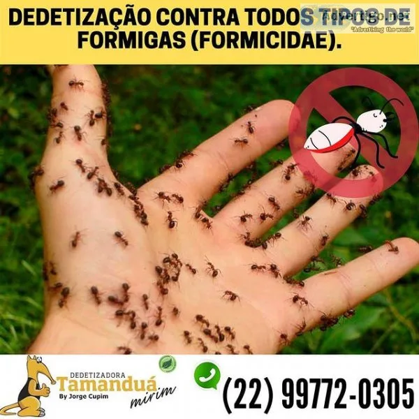 Dedetizacao em macaé